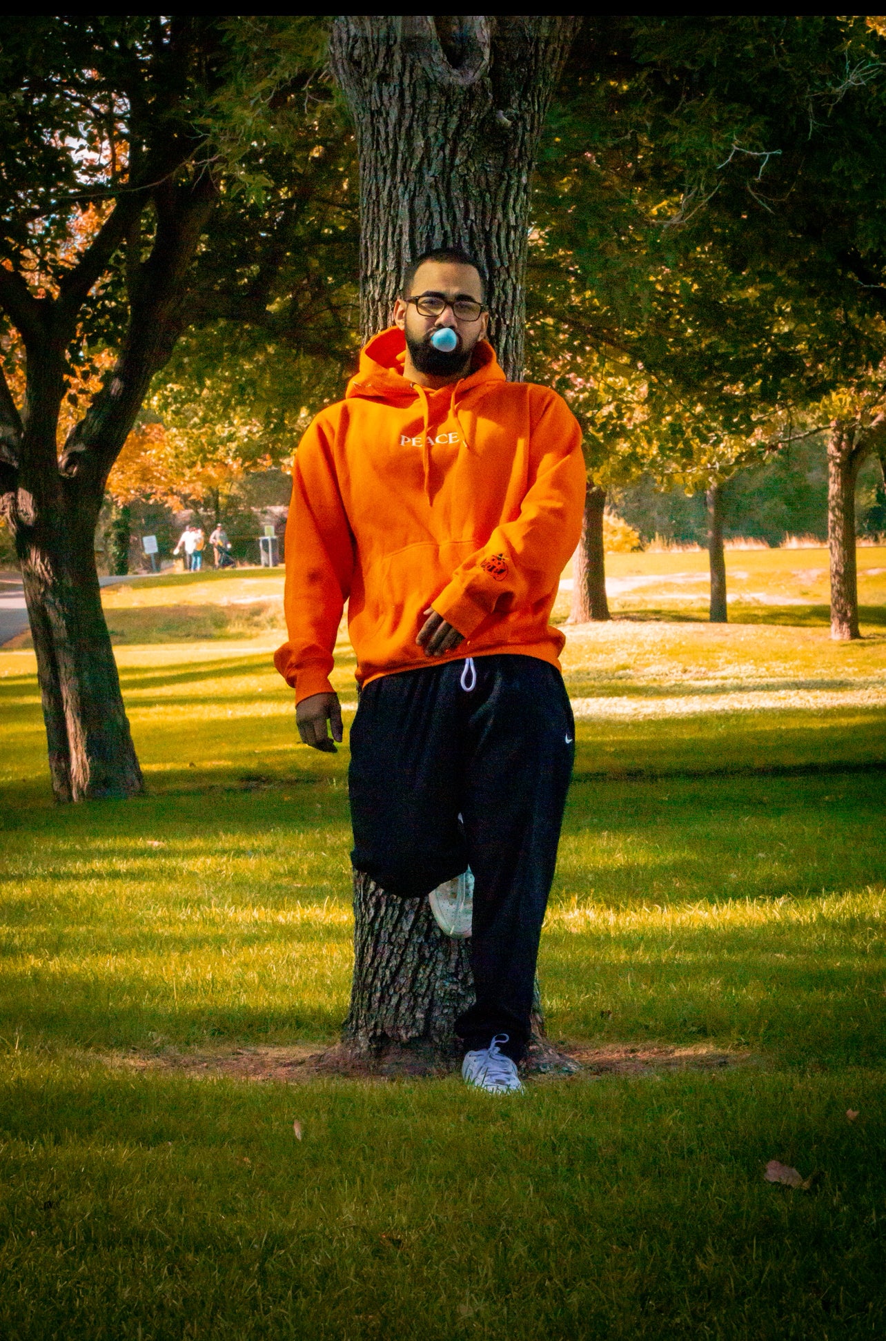 Fall Peace On Earth Hoodies